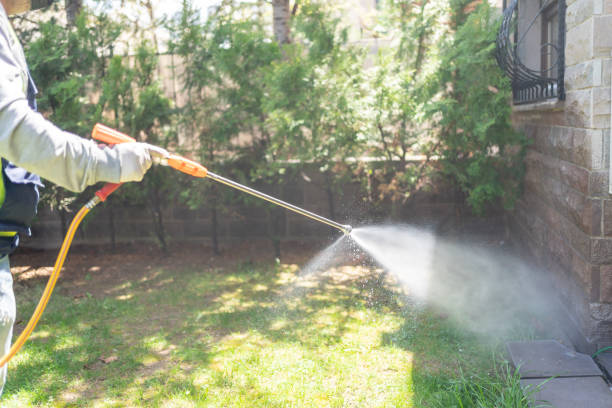 Best Spider Control  in Bermuda Dunes, CA